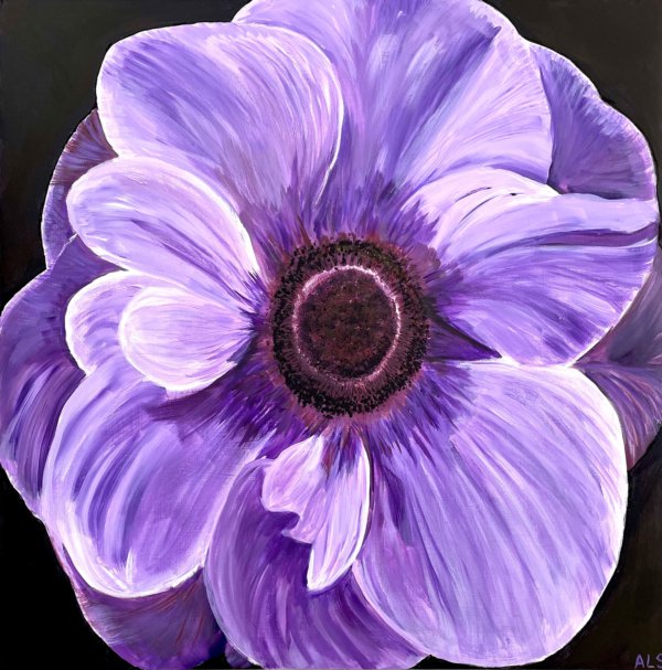 Purple Anemone,Amanda Lyon-Smith,Teignmouth,Artist,Devon